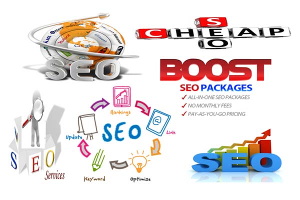 Affordable SEO Service Provider